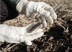 Two gloved hands holding a soil tube for lead testing
